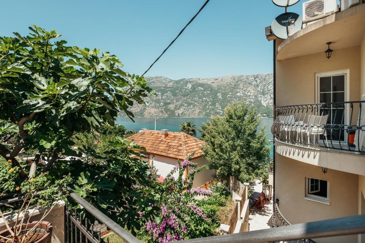 Apartments Cosovic Kotor Exteriör bild